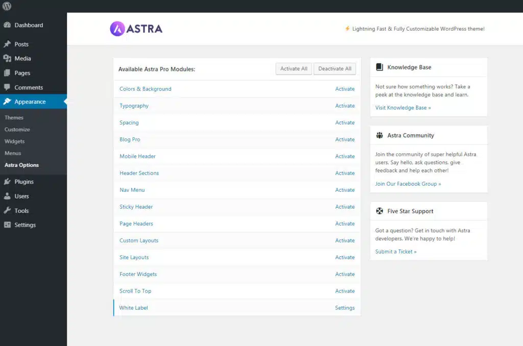 Astra Pro Theme - Black Friday Deal - bis zu 40% sparen 2 Wordpress Hosting